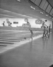 Bird Bowl Vintage Photo Archive