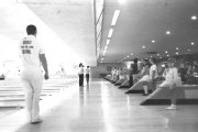 Bird Bowl Vintage Photo Archive