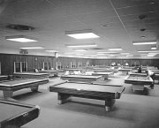 Bird Bowl Vintage Photo Archive