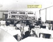 Bird Bowl Vintage Photo Archive